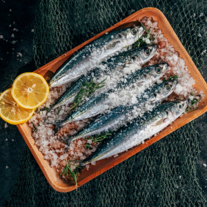 Receita torta de sardinha: como fazer no liquidificador?