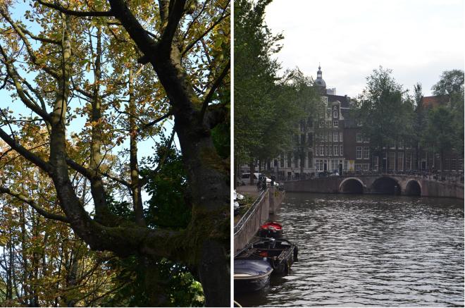 Viagem a Amesterdão + Scones de maçã