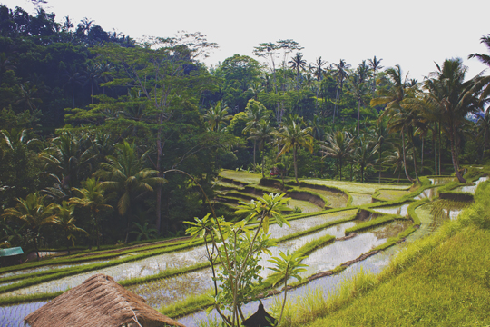 Bali – A Ilha dos Deuses