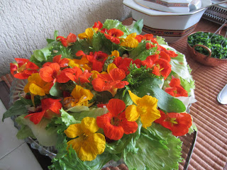 Salada Primavera
