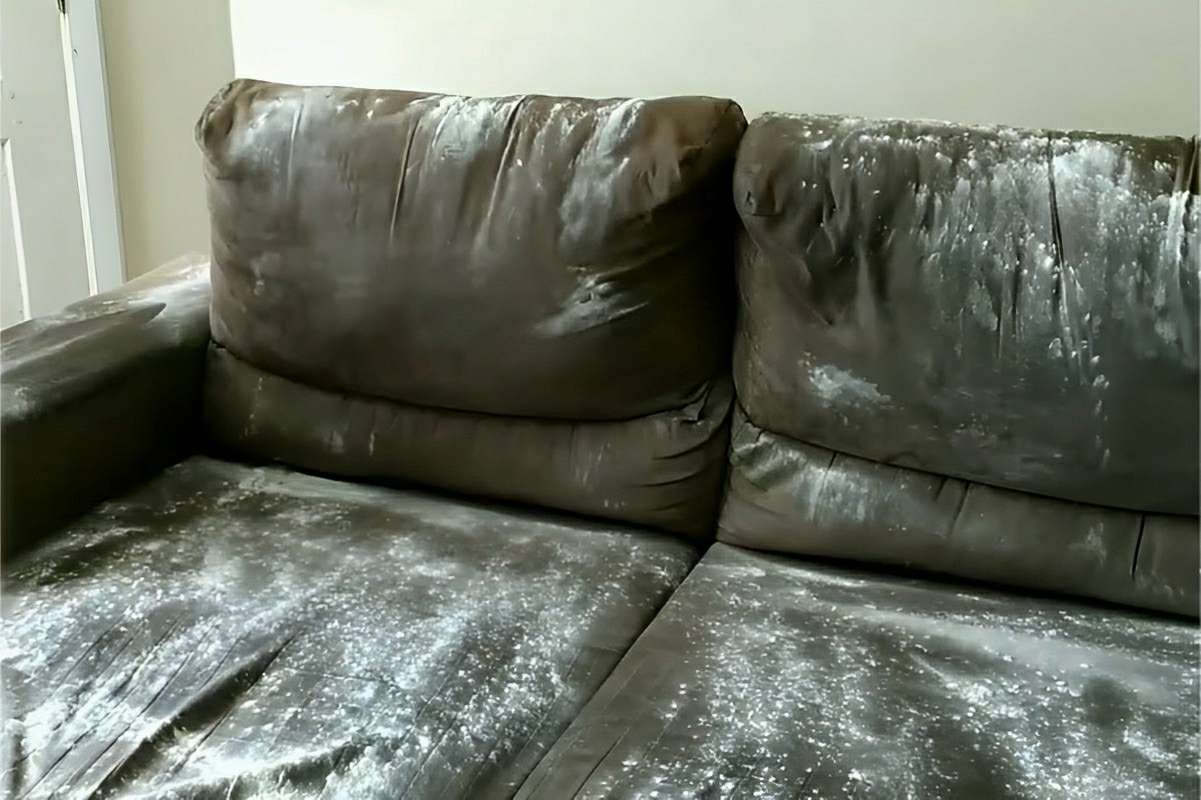 Como limpar sofá encardido sem gastar nada usando ingredientes que você tem em casa