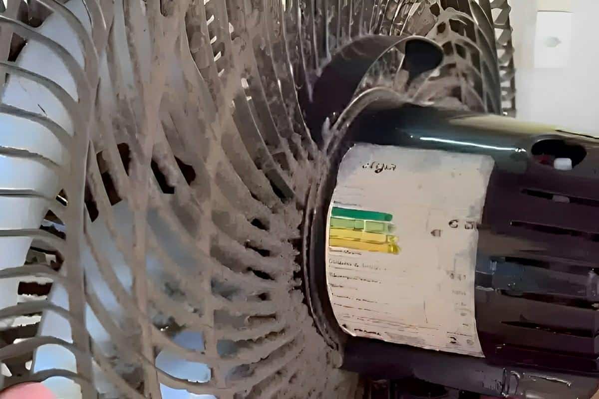 Como limpar ventilador sem precisar desmontar o aparelho