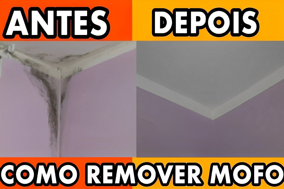 Como remover mofo da parede da sua casa com apenas 1 produto que você tem no armário