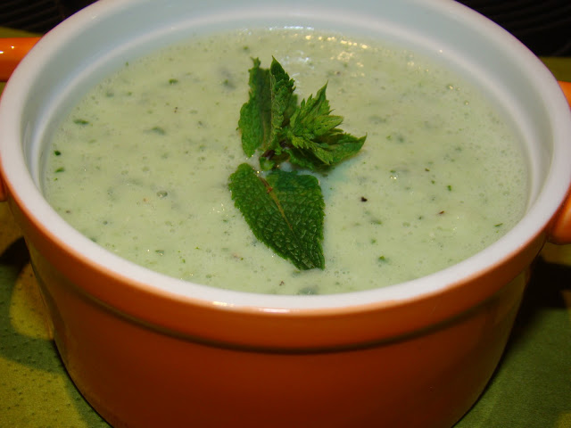 Sopa Fria de Pepino com Hortelã / Cold Cucumber Soup with Mint