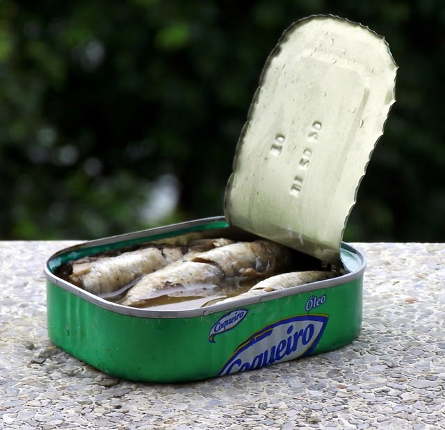 Rocambole de sardinha