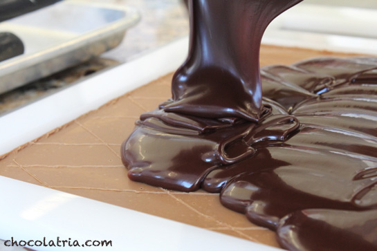 Chocolate Expertise…