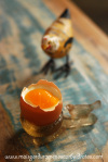 Pannacotta de anis com geleia de maracujá – Como assim? Parece um ovo!