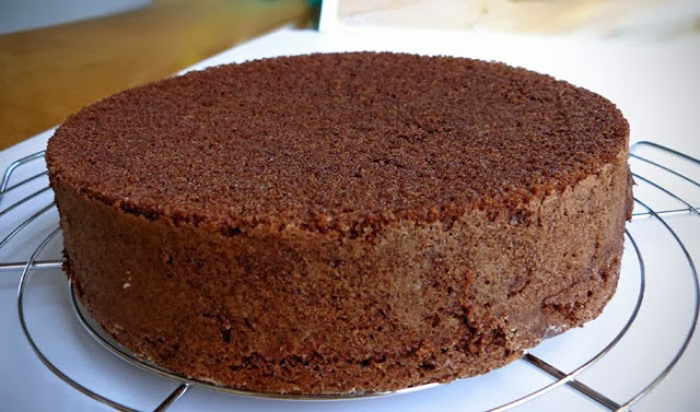 Pão de Ló de Chocolate para Tortas