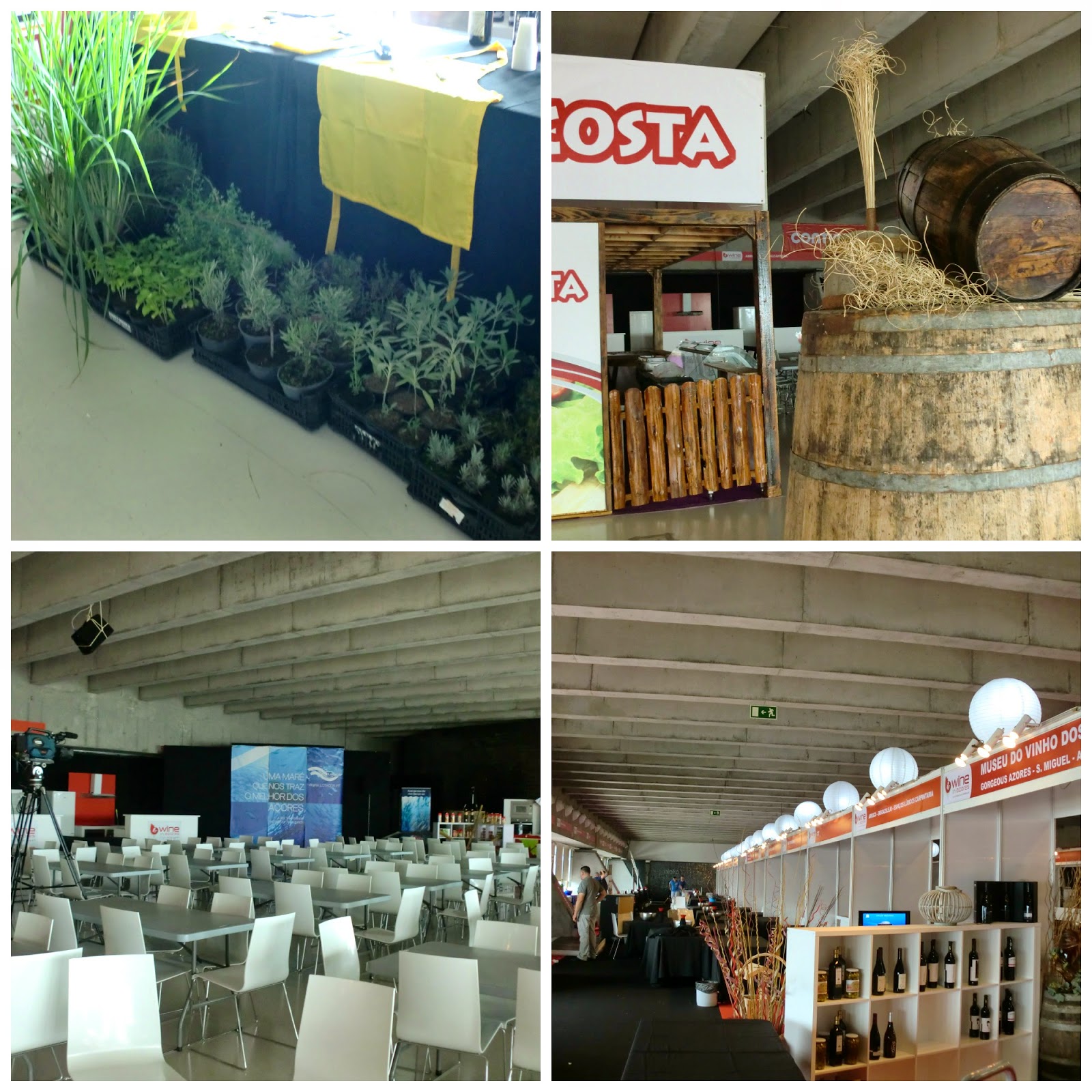 Wine in Azores 2014 - Behind the Scenes - Parte 2!